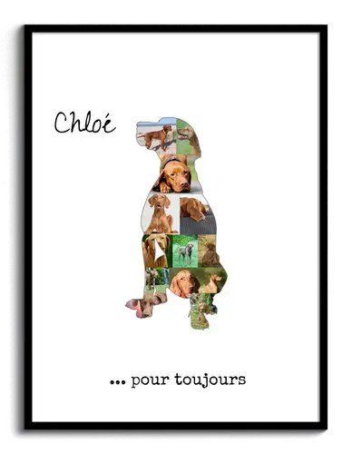 Collage Photo Personnalisée Vizsla - Souvenir Unique pour Amoureux des Chiens