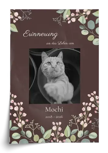 Gedenk-Collage Katze: Einzelbild, Name & Daten