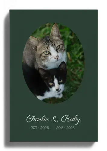 Gedenk-Collage Katze: Einzelbild, Name & Daten