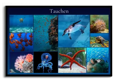 Unterwasserwelt Tierfotografie Collage Druck