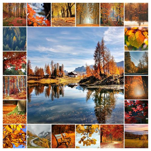 Créez votre collage photo Nature, paysages & animaux – 4 saisons, tirage premium