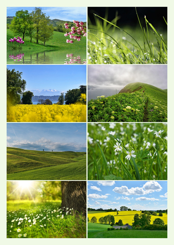 Créez votre collage photo Nature, paysages & animaux – 4 saisons, tirage premium