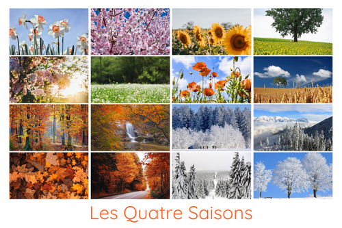 Créez votre collage photo Nature, paysages & animaux – 4 saisons, tirage premium