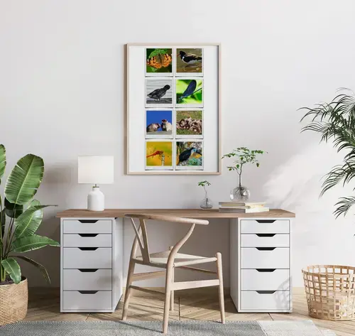 Polaroid-Collage: Tiere in der Natur und Wildnis