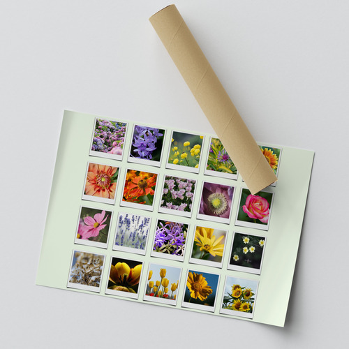 Natur-Polaroid-Collage mit Jahreszeiten-Texte