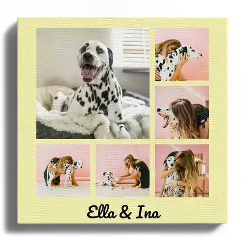 Collage photo des plus belles photos de chiens