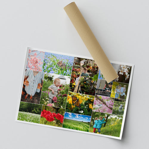 Frühlings-Fotocollagen: Blumen, Wiesen, Text