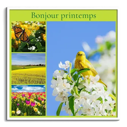 Collages photo de printemps – fleurs et prairies