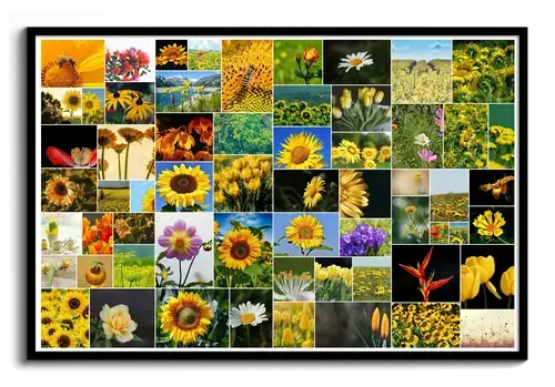 Collage sauvage avec photos de fleurs de jardin