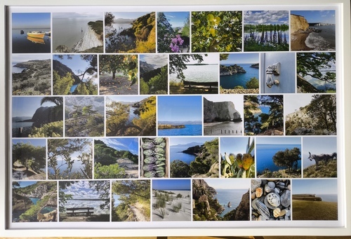 Photo du client Rose pour l'évaluation Impression Photocollage Affiche encadrée (bois, blanc) 90x60cm