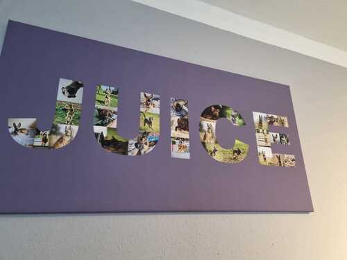 Photo du client Ulrike pour l'évaluation Impression Photocollage Toile 100x50cm