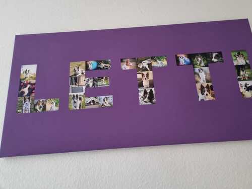 Photo du client Ulrike pour l'évaluation Impression Photocollage Toile 100x50cm