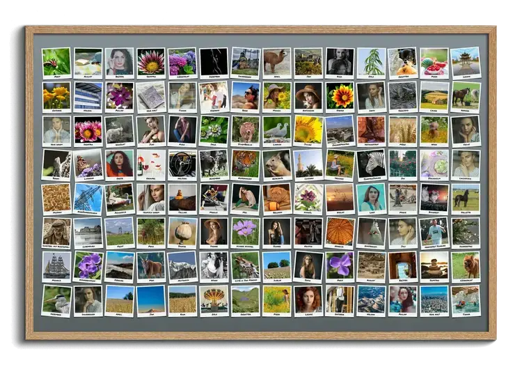Fotocollage creer avec cent photos en polaroids