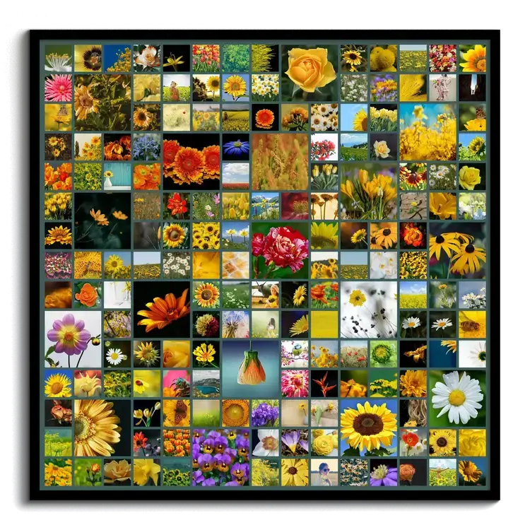 Fotocollage design avec plein de fotos disposition grille variations