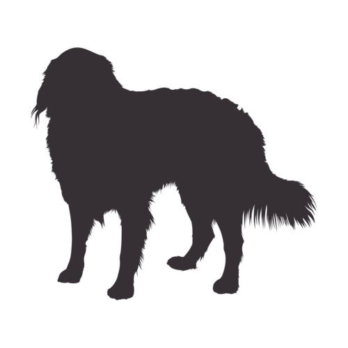 Hundesilhouette Berner Sennenhund stehend