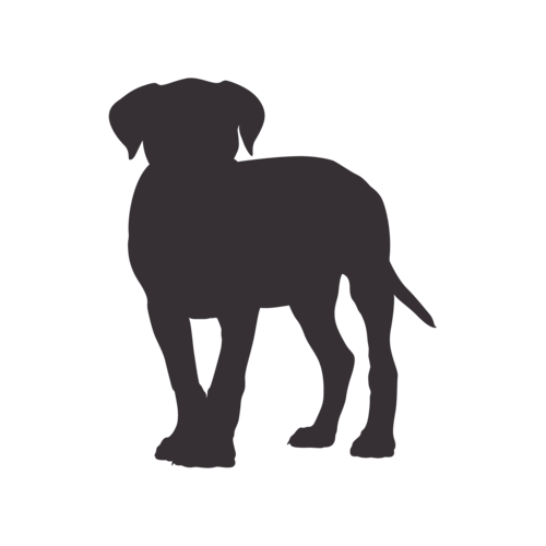 Hundesilhouette Cane Corso stehend
