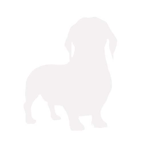 Hundesilhouette Dackel stehend