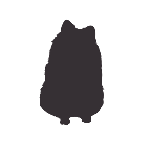 Hundesilhouette Zwergspitz sitzend