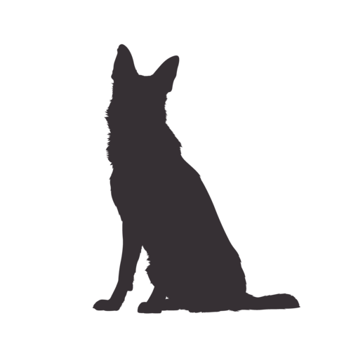 Hundesilhouette Deutscher Schäferhund sitzend