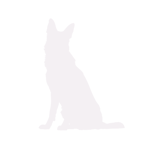 Hundesilhouette Deutscher Schäferhund sitzend