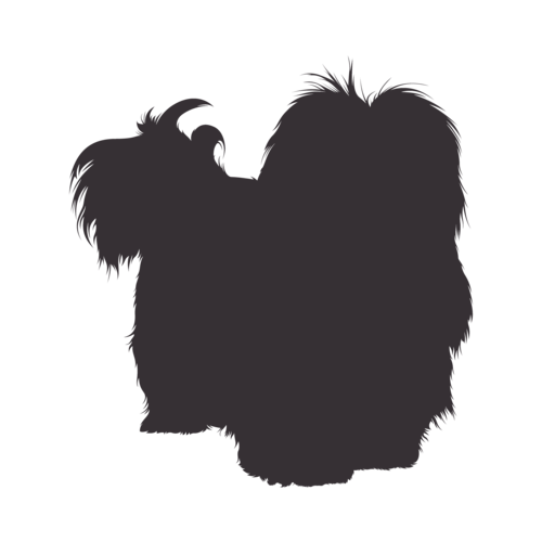 Hundesilhouette Havaneser stehend
