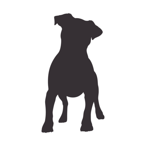 Hundesilhouette Jack Russell Terrier stehend