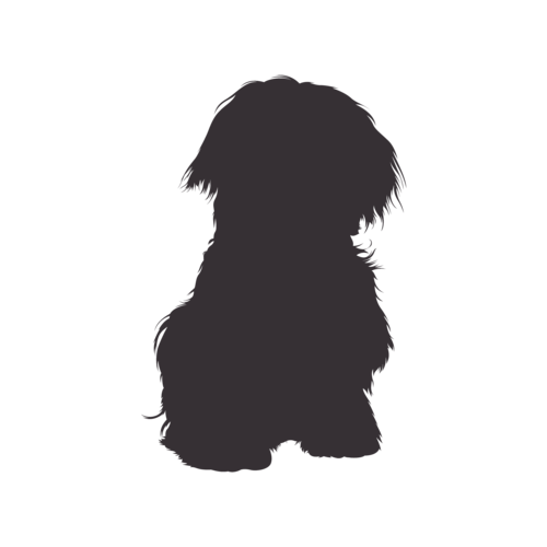 Hundesilhouette Malteser sitzend