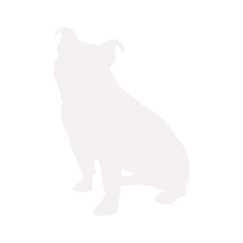 Hundesilhouette Old English Bulldog sitzend