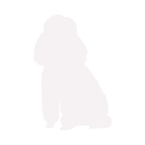 Hundesilhouette Pudel sitzend