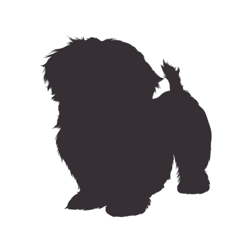 Hundesilhouette Shih Tzu stehend