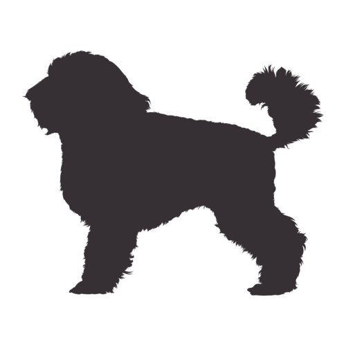 Hundesilhouette Zwergpudel stehend