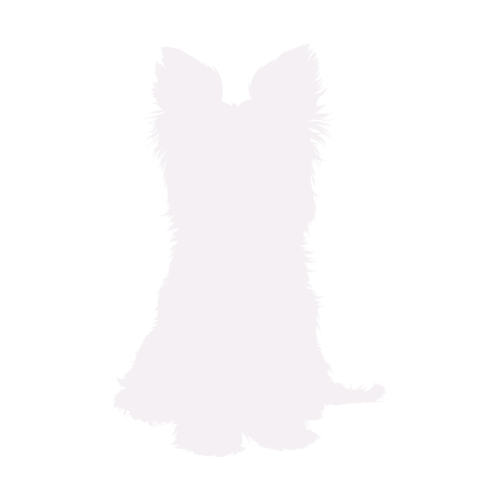 Hundesilhouette Yorkshire Terrier sitzend